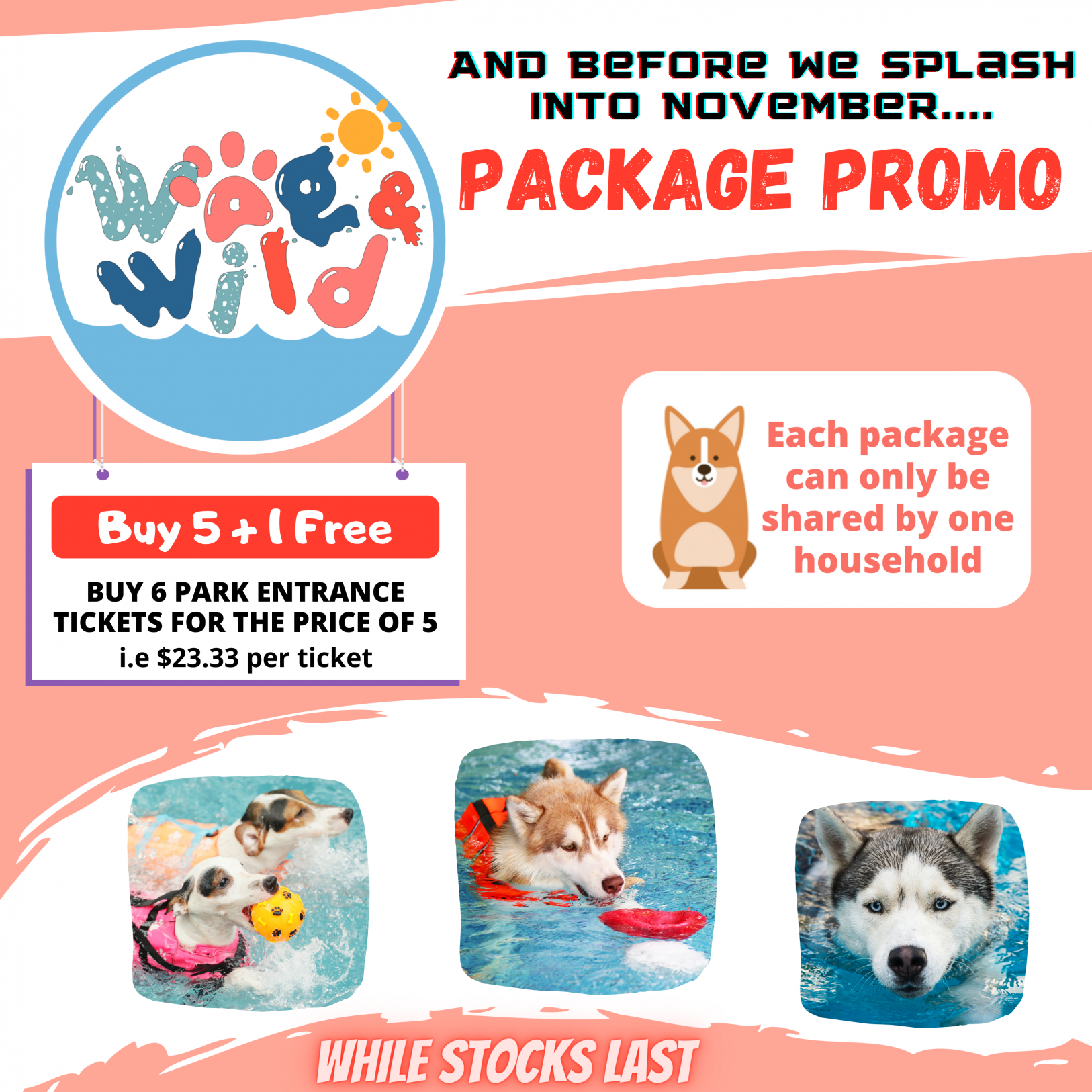 5 + 1 Promo Package